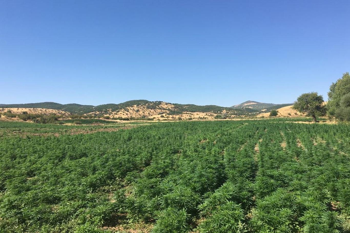 Milyonlarca kişiyi zehirleyebilecek uyuşturucu ele geçirildi